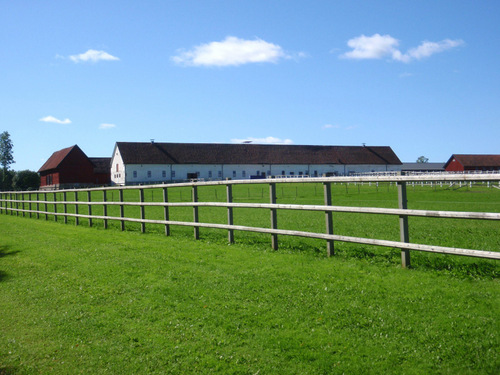 Huge Military Horse Barn.